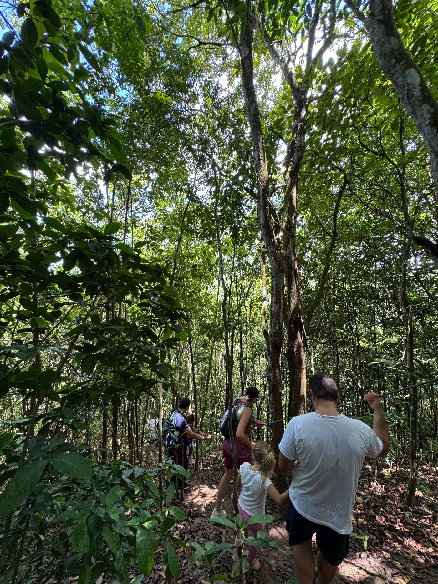 Trilha da Natureza